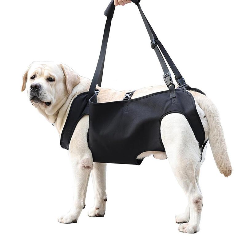 Tali Bantu Naik Tangga untuk A - Harness Climbing Adjustable ulasan dan harga