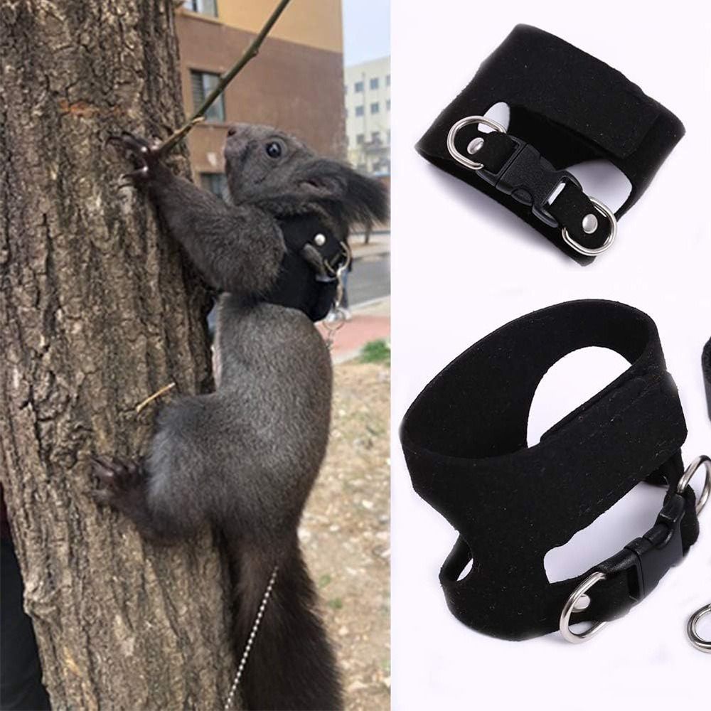 Set Tali dan Harness Tikus yan - Harness Climbing Adjustable ulasan dan harga
