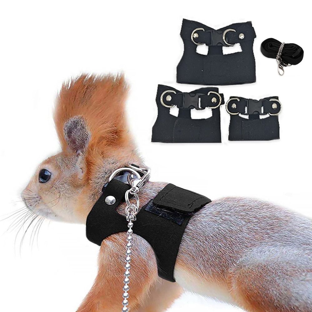 Set Tali dan Harness Tikus yan - Harness Climbing Adjustable ulasan dan harga